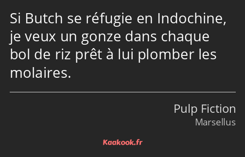 Si Butch se réfugie en Indochine, je veux un gonze dans chaque bol de riz prêt à lui plomber les…