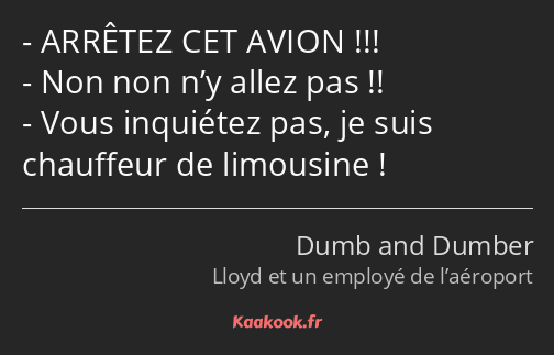 ARRÊTEZ CET AVION !!! Non non n’y allez pas !! Vous inquiétez pas, je suis chauffeur de limousine !