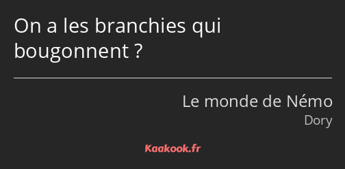 On a les branchies qui bougonnent ?