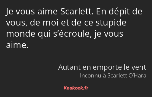 Je vous aime Scarlett. En dépit de vous, de moi et de ce stupide monde qui s’écroule, je vous aime.