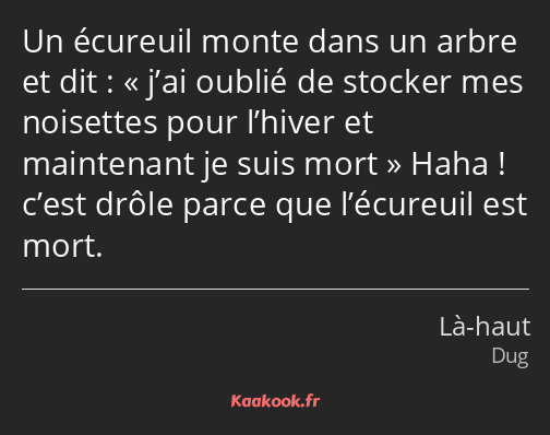 Un écureuil monte dans un arbre et dit : j’ai oublié de stocker mes noisettes pour l’hiver et…