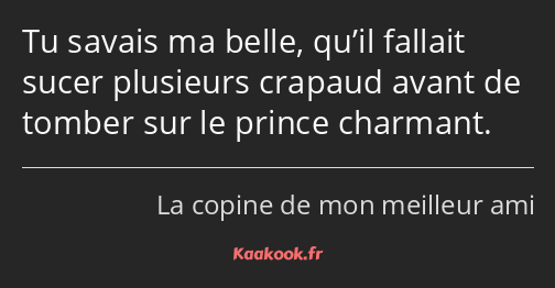 Tu savais ma belle, qu’il fallait sucer plusieurs crapaud avant de tomber sur le prince charmant.