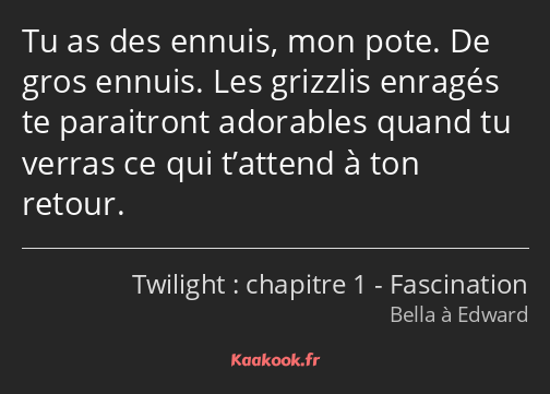 Tu as des ennuis, mon pote. De gros ennuis. Les grizzlis enragés te paraitront adorables quand tu…