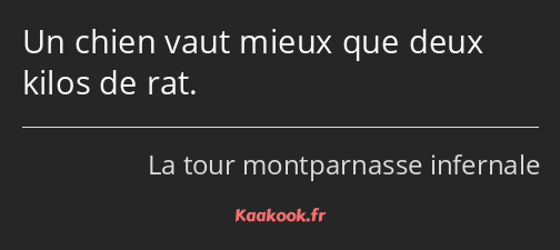 Un chien vaut mieux que deux kilos de rat.