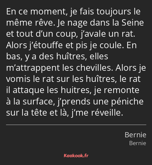 En ce moment, je fais toujours le même rêve. Je nage dans la Seine et tout d’un coup, j’avale un…