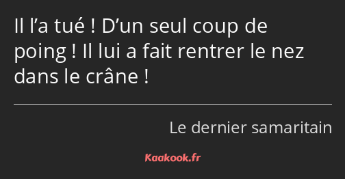 Il l’a tué ! D’un seul coup de poing ! Il lui a fait rentrer le nez dans le crâne !