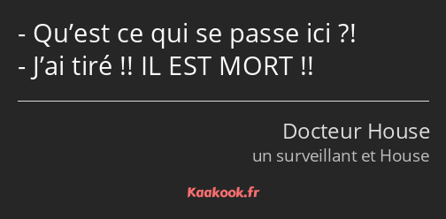 Qu’est ce qui se passe ici ?! J’ai tiré !! IL EST MORT !!