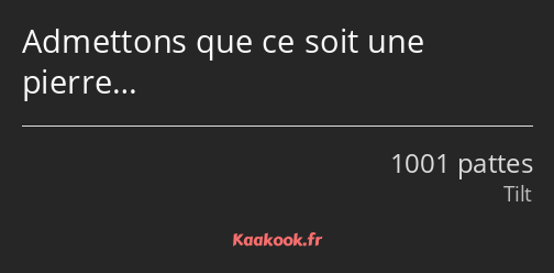 Admettons que ce soit une pierre…