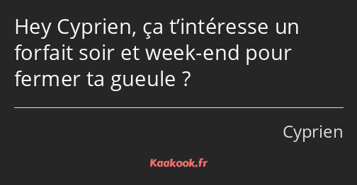 Hey Cyprien, ça t’intéresse un forfait soir et week-end pour fermer ta gueule ?