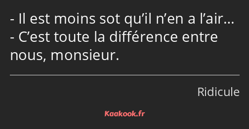 Il est moins sot qu’il n’en a l’air… C’est toute la différence entre nous, monsieur.