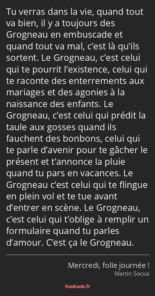 Tu verras dans la vie, quand tout va bien, il y a toujours des Grogneau en embuscade et quand tout…