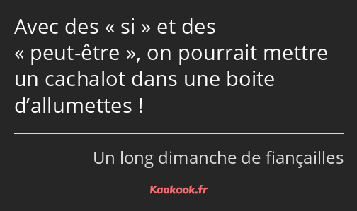 Avec des si et des peut-être, on pourrait mettre un cachalot dans une boite d’allumettes !