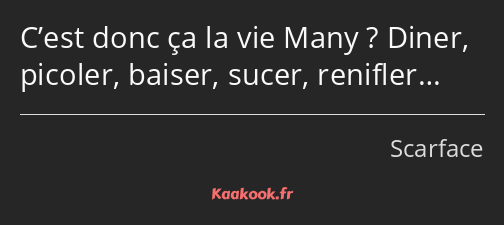 C’est donc ça la vie Many ? Diner, picoler, baiser, sucer, renifler…