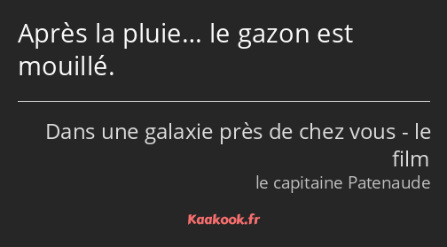 Après la pluie… le gazon est mouillé.