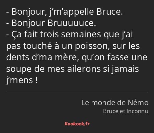 Bonjour, j’m’appelle Bruce. Bonjour Bruuuuuce. Ça fait trois semaines que j’ai pas touché à un…