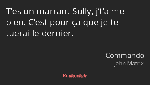 T’es un marrant Sully, j’t’aime bien. C’est pour ça que je te tuerai le dernier.