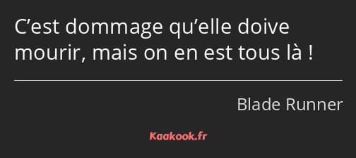 C’est dommage qu’elle doive mourir, mais on en est tous là !