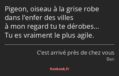 Pigeon, oiseau à la grise robe dans l’enfer des villes à mon regard tu te dérobes… Tu es vraiment…