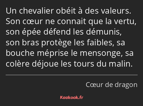 Un chevalier obéit à des valeurs. Son cœur ne connait que la vertu, son épée défend les démunis…