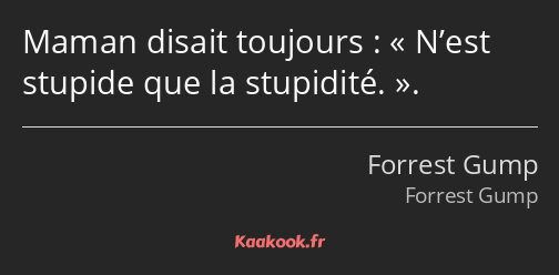 Maman disait toujours : N’est stupide que la stupidité..