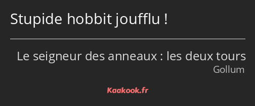 Stupide hobbit joufflu !