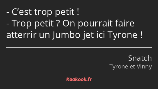 C’est trop petit ! Trop petit ? On pourrait faire atterrir un Jumbo jet ici Tyrone !