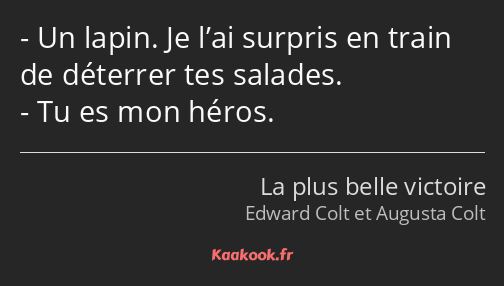 Un lapin. Je l’ai surpris en train de déterrer tes salades. Tu es mon héros.