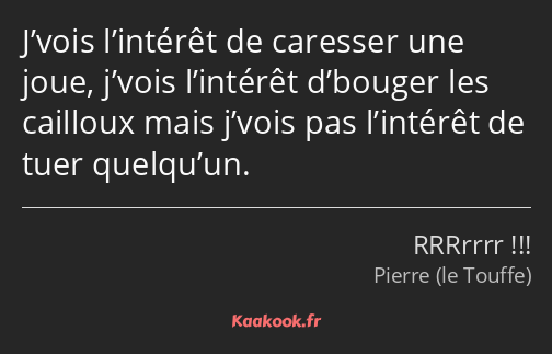 J’vois l’intérêt de caresser une joue, j’vois l’intérêt d’bouger les cailloux mais j’vois pas…