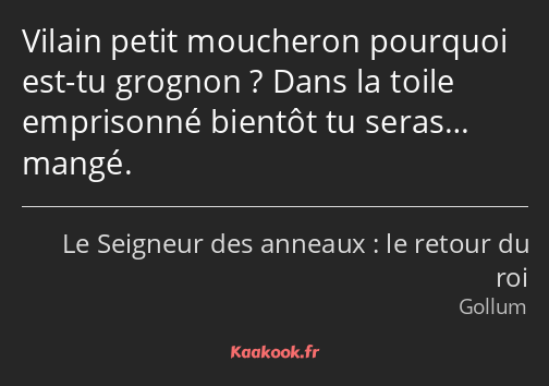 Vilain petit moucheron pourquoi est-tu grognon ? Dans la toile emprisonné bientôt tu seras… mangé.