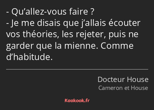 Qu’allez-vous faire ? Je me disais que j’allais écouter vos théories, les rejeter, puis ne garder…