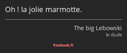 Oh ! la jolie marmotte.