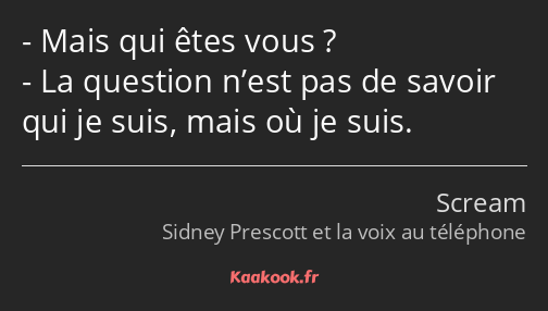 Mais qui êtes vous ? La question n’est pas de savoir qui je suis, mais où je suis.