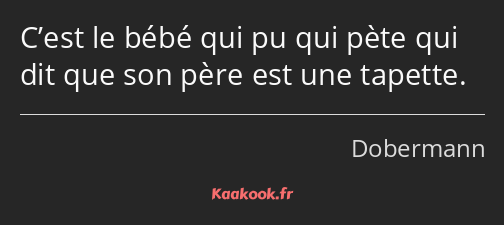 C’est le bébé qui pu qui pète qui dit que son père est une tapette.