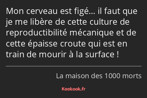 Mon cerveau est figé… il faut que je me libère de cette culture de reproductibilité mécanique et de…