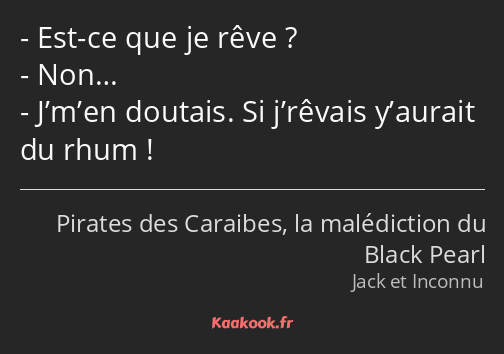 Est-ce que je rêve ? Non… J’m’en doutais. Si j’rêvais y’aurait du rhum !