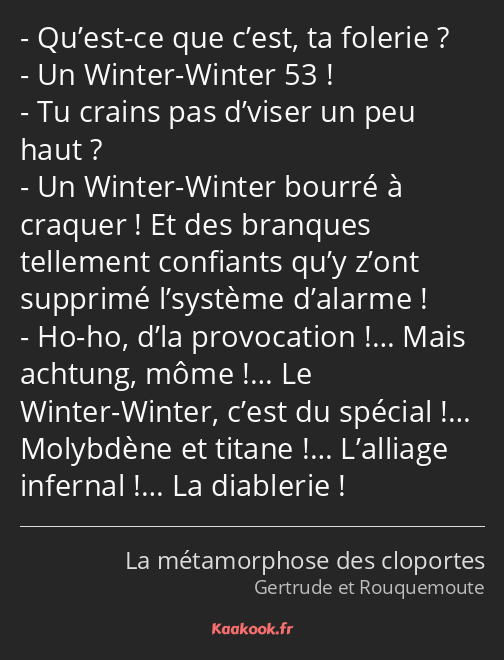 Qu’est-ce que c’est, ta folerie ? Un Winter-Winter 53 ! Tu crains pas d’viser un peu haut ? Un…