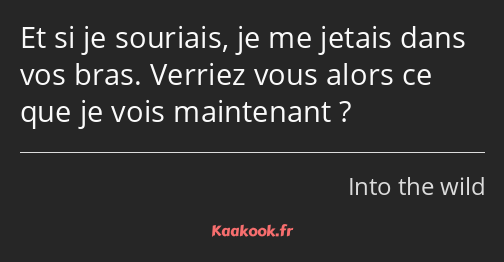 Et si je souriais, je me jetais dans vos bras. Verriez vous alors ce que je vois maintenant ?