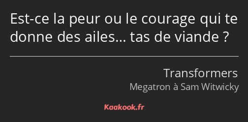 Est-ce la peur ou le courage qui te donne des ailes… tas de viande ?