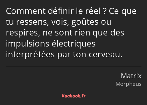 Comment définir le réel ? Ce que tu ressens, vois, goûtes ou respires, ne sont rien que des…