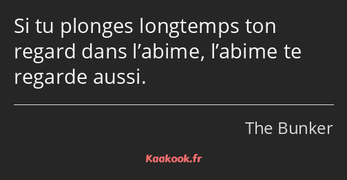 Si tu plonges longtemps ton regard dans l’abime, l’abime te regarde aussi.