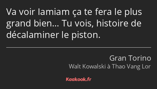 Va voir Iamiam ça te fera le plus grand bien… Tu vois, histoire de décalaminer le piston.