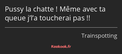 Pussy la chatte ! Même avec ta queue j’l’a toucherai pas !!