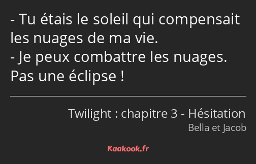 Tu étais le soleil qui compensait les nuages de ma vie. Je peux combattre les nuages. Pas une…