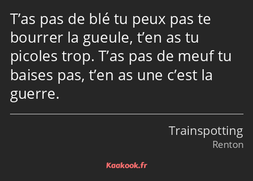 T’as pas de blé tu peux pas te bourrer la gueule, t’en as tu picoles trop. T’as pas de meuf tu…