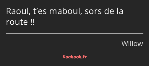 Raoul, t’es maboul, sors de la route !!