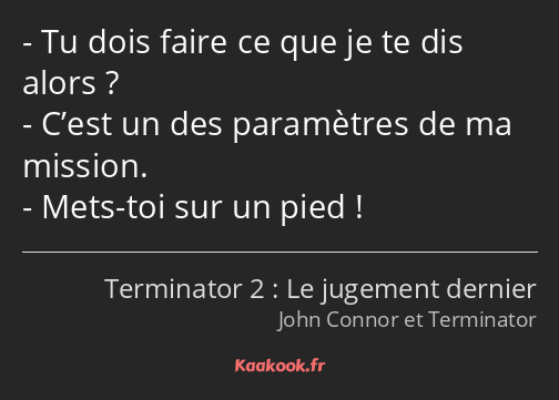 Tu dois faire ce que je te dis alors ? C’est un des paramètres de ma mission. Mets-toi sur un pied !