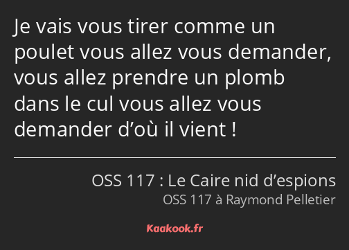 Je vais vous tirer comme un poulet vous allez vous demander, vous allez prendre un plomb dans le…