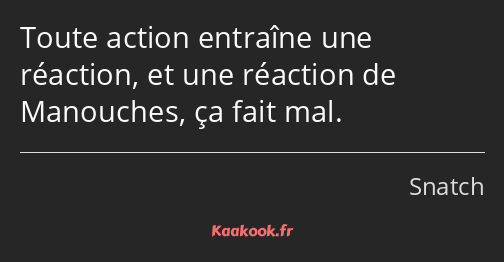 Toute action entraîne une réaction, et une réaction de Manouches, ça fait mal.