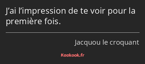 J’ai l’impression de te voir pour la première fois.