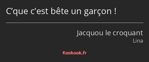 C’que c’est bête un garçon !